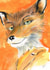 Fantastic Mr Fox created by Sally Taylor