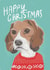 Classic Christmas Card - Beagle Dog in a Christmas Jumper - Happy Christmas created by Rebecca McConnachie