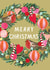Colourful Christmas Card - Robin and Wreath - Merry Christmas created by Louise Tiler