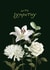 Classic Sympathy Card - Lily - Rose created by Louisa Taylor