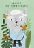 Cute Birthday Card - David Cattenborough - Cat created by Niaski