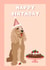 Cute Birthday Card - Golden Spaniel - Cake created by Suzanne Taktak