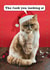Rude Christmas Card - Grumpy Cat - Middle Finger created by Brainbox Candy