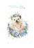 Cute New Baby Card - Hedgehog - Baby Boy created by Lola Design