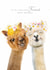 Cute Birthday Card - Fabulous Friend - Alpacas created by Lola Design