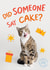 Funny Birthday Cat Card - Did someone say cake? - Battersea Cats & Dogs Home Charity Card created by Cardology