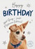 Cute Birthday Card - Platinum Edition - Battersea Charity Card created by Cardology