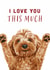 Cute Cockapoo Dog - I Love You This Much - Valentine's Day/Anniversary created by Debbie Daley Illustrations