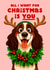 Cute Christmas Card - All I Want Is You - Reindeer Dog created by Folio | Ian Owen