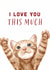 Cute Cat 'I Love You This Much' Valentine's Day/Anniversary Card created by Debbie Daley Illustrations