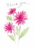 Pretty Thank You Card - Pink Dahlias created by Gabrielle Solly Illustration