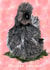 Chicken You Out, Silkie Chicken Pun Card. created by Stephanie Webb-Bowen