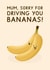 Cute Mother's Day Card - Sorry For Driving You Bananas! - Banana Pun created by Jeff and the Squirrel