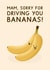 Cute Mother's Day Card - Sorry For Driving You Bananas! - For Mam created by Jeff and the Squirrel