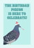 Birthday Pigeon - Party hat on pigeon - funny cute bird card - for bird lover created by Suzanne Taktak