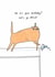Funny Birthday Card - Let's Go Wild - Spill created by Sunpatch Society