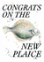 Classic new home pun card for friend - Congrats On The New Plaice created by studio frewb