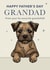 Cute Father's Day Card - For Grandad - Border Terrier created by Choo Choo