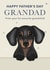 Cute Father's Day Card - For Grandad - Dachshund created by Choo Choo