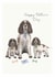 Spaniel Father's Day Card - Dog Dad Card - Happy Father's Day created by Lottie Murphy