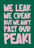 Funny Birthday Card - Ain't Past Our Peak created by Artsy Gift Co