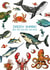 Hand drawn & painted sealife card. Funny, special for Fathers Day / birthday. created by Life's Little Doodles