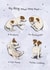 Cute Just Because Card - Packet Crinkling - Dog created by Dandelion Stationery