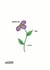 Cute hand drawn flower for loved one sending love / sympathy created by Imo D