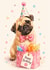 Cute Pug Birthday Card with Party Hat, Bow Tie and Happy Birthday Gift Bag created by Bethany Brown