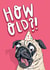 Funny Birthday Card - Cheeky Pug - How Old?! created by Lovely Paper Stuff ltd