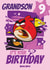 Cute Angry Birds Birthday Card – For Grandson – Happy 9th Birthday created by Danilo