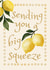 Classic Thinking Of You Card - Sending You A Big Squeeze - Lemons created by Feel Good Supplies