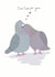 Cute Anniversary/Valentine's Day Card - Coo Coo For You - Pigeons created by Happy Print Designer