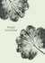 Classic Birthday Card – Alchemilla Mollis created by Unfurling Press