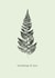 Classic Thinking of You Card – Fern Leaves created by Unfurling Press