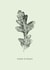Classic Birthday Card – Oak Leaf – Older And Wiser created by Unfurling Press