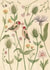 Pretty Just Because Card - Goldfinch Birds - Flowers created by Zoe Pearl