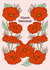 Arty Birthday Card - Red Flowers created by Lately Studio