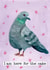 Funny Birthday Card - Pigeon - I Am Here For The Cake created by Monika & Doodle