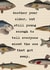 Funny Birthday Card - Fishing - The One That Got Away created by Helen Aveyard