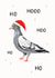 Funny Christmas Pigeon Card - Bird Pun created by Lauren Barclay