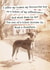 Funny Birthday/Just Because Card Card - Favourite Toy & Ungrateful Human - From The Dog created by Raven's Rest Studio