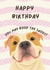 Happy Birthday, You May Boop the Snoot – Cute Dog Card created by Paws and Post