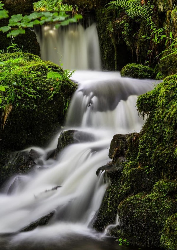 MALE FEMALE Card 22374 created by Dave Peck