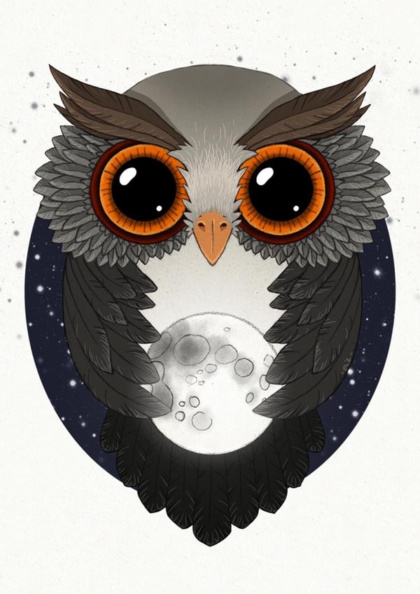 animals owl Card 22842 created by Elia Sánchez Martín