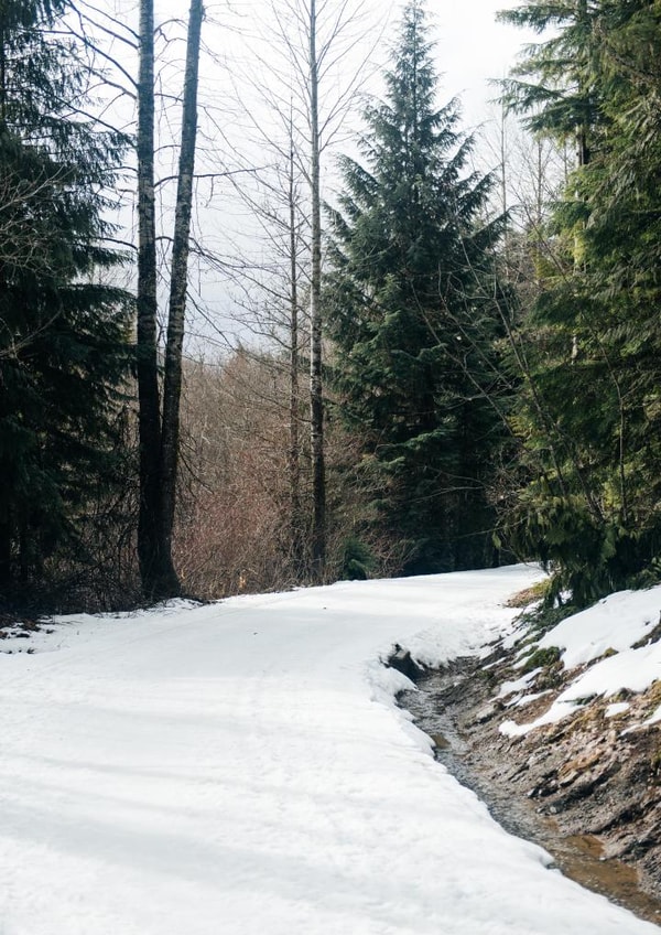 landscape canada Card 23024 created by George Bale