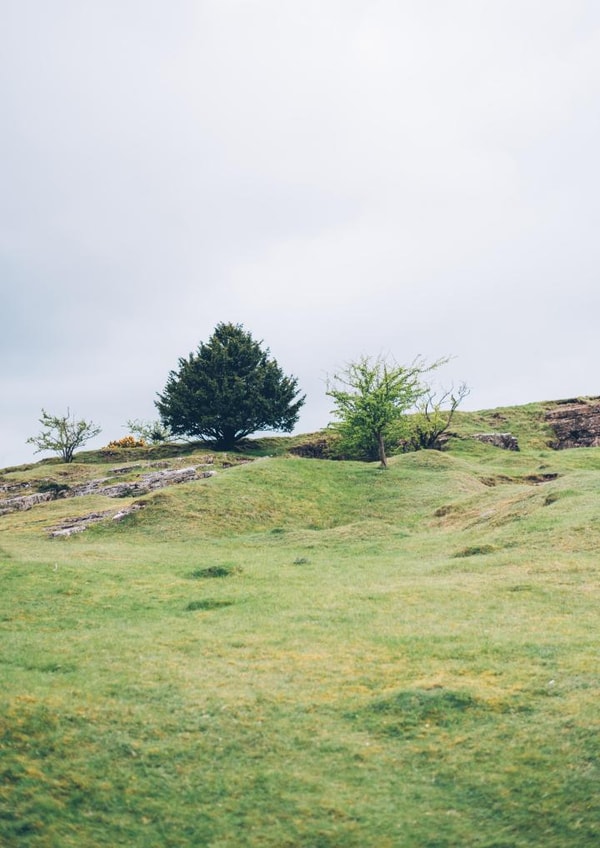 mendips landscape Card 23032 created by George Bale