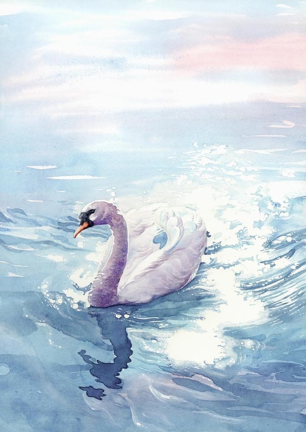 Grace swan Card 22749 created by L i z  H a n k i n s