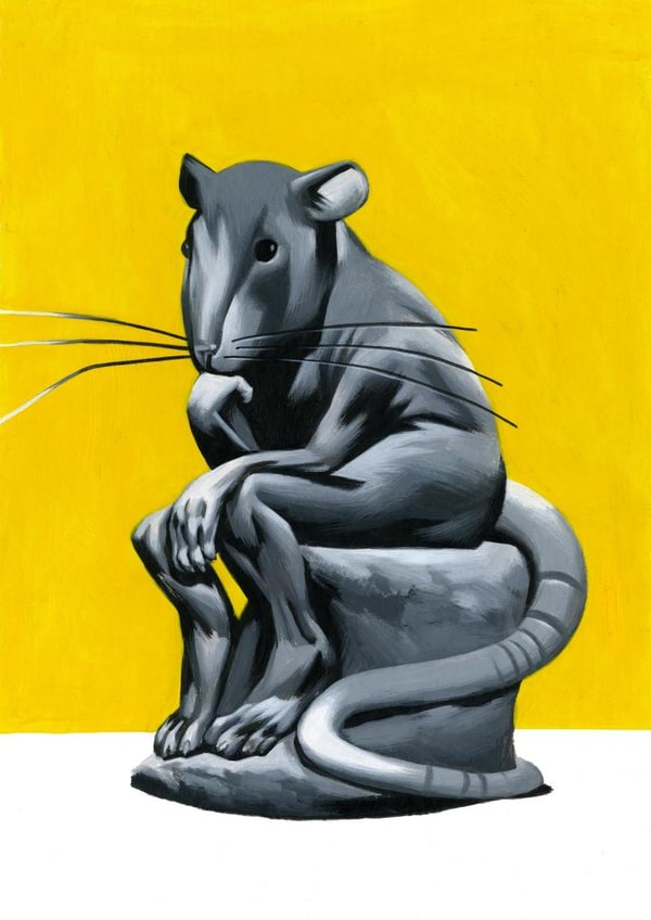 animal rat Card 23304 created by Thomas Fuchs