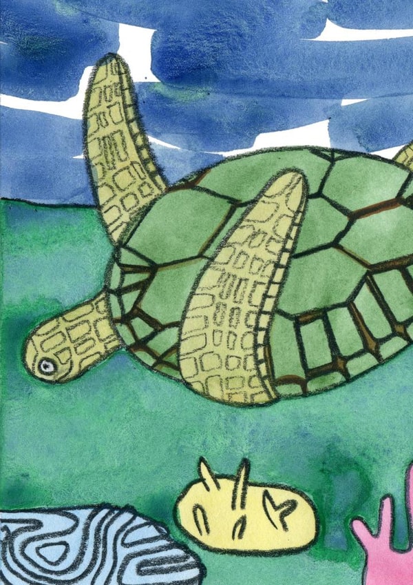 turtle animal Card 23584 created by Ruth Ferrier Illustration